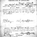 Freedmen's Bureau Records Preview