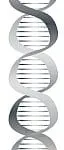 DNA strand graphic