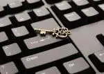 Online Resources are Key to Successful Research into North Carolinian Ancestry