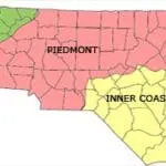 Tarheels in Your Family Tree? Part 2