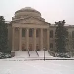 Looking for Family in Wilson Library