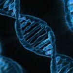 DNA Testing: The Three Types We Use in Genealogy Research