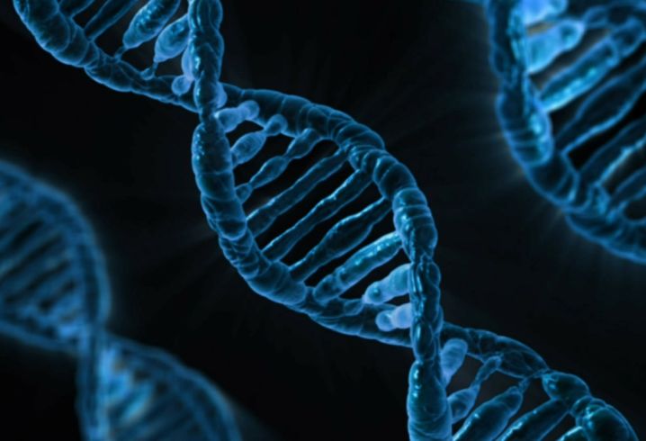 DNA strand image