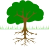 Tree with roots graphic